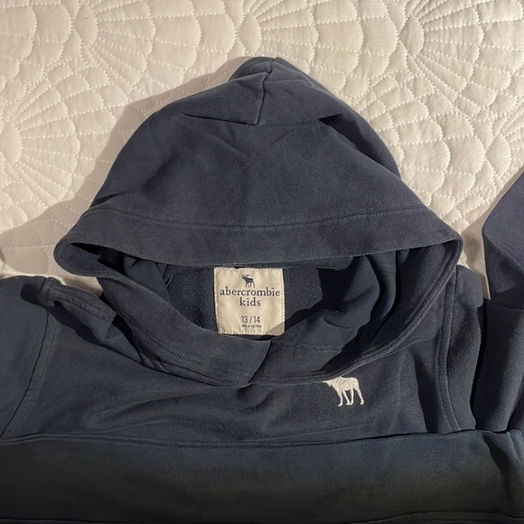 Abercrombie Kids Essential Icon Hoodie - size 13/14 - Picture 7 of 15
